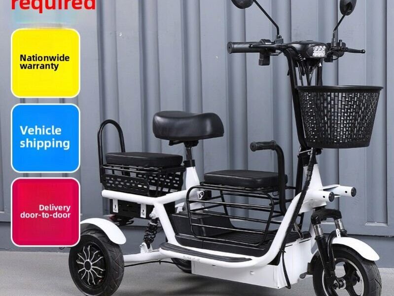 2025 EEC Certified Electric Tricycle Open Body 3-Wheel Bicycle Passenger & Cargo Vehicle 36V Voltage