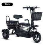 2025 EEC Certified Electric Tricycle Open Body 3-Wheel Bicycle Passenger & Cargo Vehicle 36V Voltage - image 2
