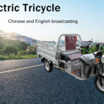 Factory Outlet Heavy Duty 1000W Electric Cargo Tricycle Open Body with LCD Display Steel Material 400kg Payload - image 2