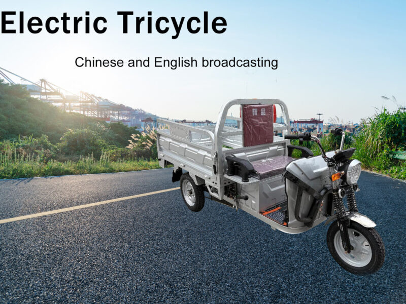 2025 Hot Selling 3 Wheel Motorcycle for Cargo 60v Electric Tricycle Trike for Adults Manufactured in China