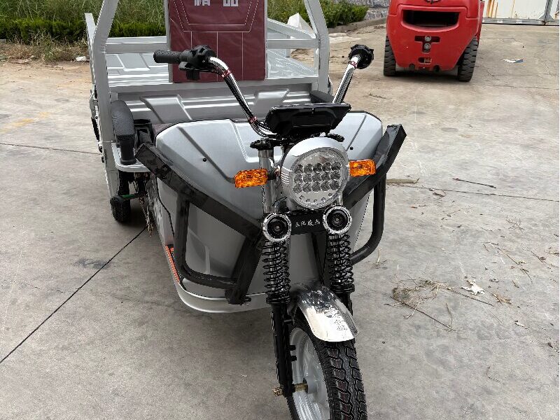 2025 Hot Selling 3 Wheel Motorcycle for Cargo 60v Electric Tricycle Trike for Adults Manufactured in China