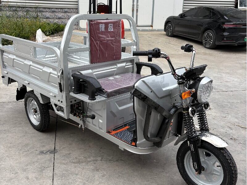 2025 Hot Selling 3 Wheel Motorcycle for Cargo 60v Electric Tricycle Trike for Adults Manufactured in China