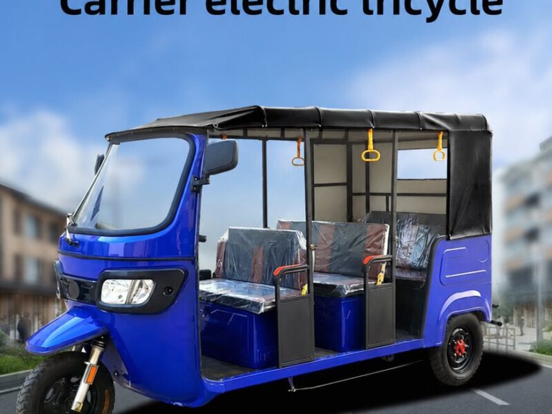 2025 Open Electric Passenger Tricycle 801-1000W Three Wheel Rickshaw Tuk Tuk Taxi 14 Inch Tires