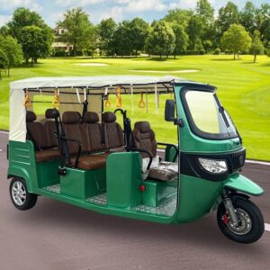 2025 Open Electric Passenger Tricycle 801-1000W Three Wheel Rickshaw Tuk Tuk Taxi 14 Inch Tires