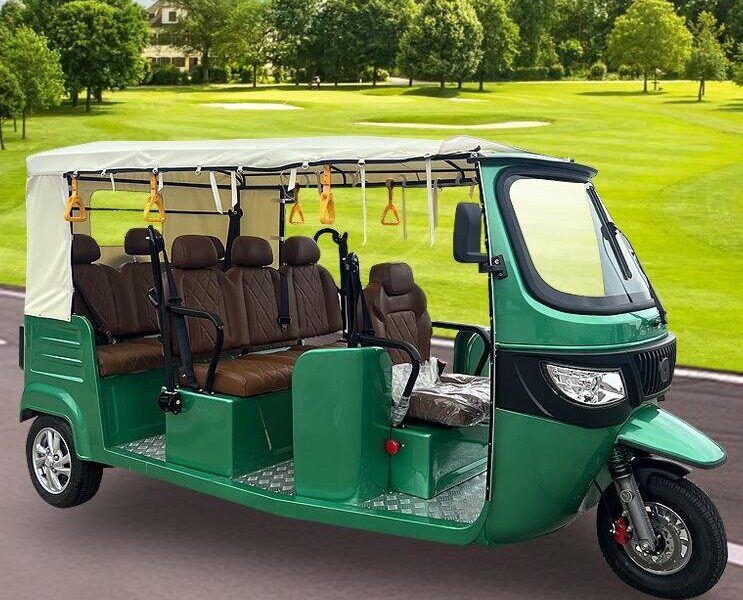2025 Open Electric Passenger Tricycle 801-1000W Three Wheel Rickshaw Tuk Tuk Taxi 14 Inch Tires