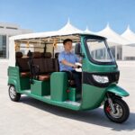 2025 Open Electric Passenger Tricycle 801-1000W Three Wheel Rickshaw Tuk Tuk Taxi 14 Inch Tires - image 4