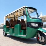 2025 Open Electric Passenger Tricycle 801-1000W Three Wheel Rickshaw Tuk Tuk Taxi 14 Inch Tires - image 6