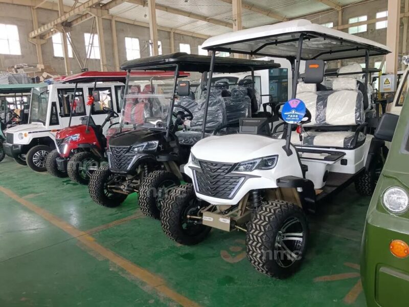 2026 Electric Tricycle Adults 3 Wheel Tricycles Citycoco Electric Scooter Golf Trike Tricycle