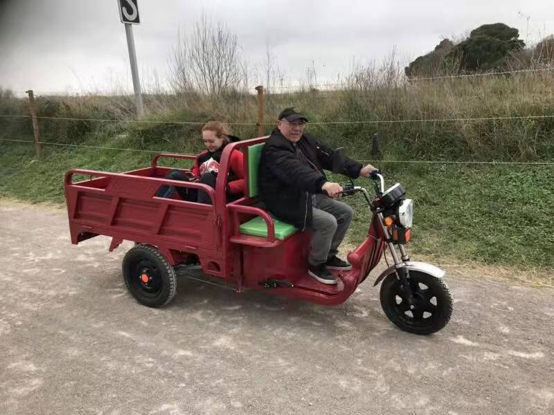 2026 EU in Stock Electric Semi Closed CargoTricycle EEC COC 3 Wheels Trike 25km/h 45ah 58ahTuktuk 72V Mobility Trolley for Cargo
