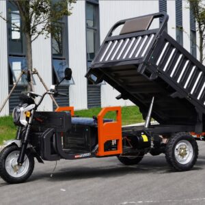 2026 New 1000W Home-use Electric Tricycle/Electric Bicycle