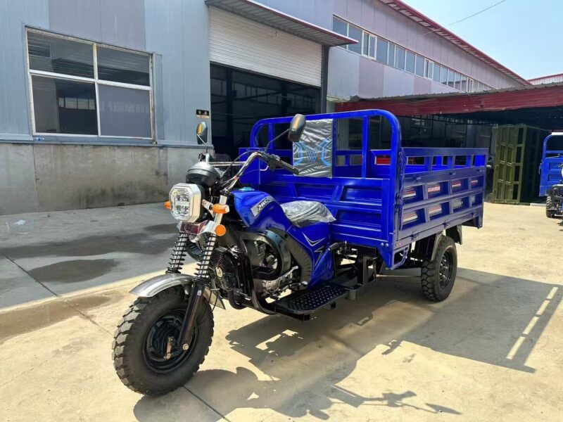 2026 Outstanding Quality Electric Motorcycle 3 Wheel Electric Tricycle Bike for Adults