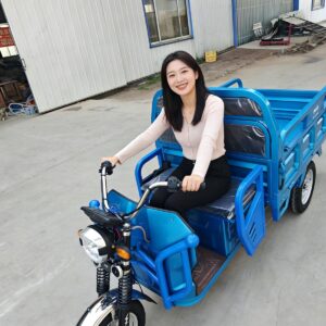 2026 Outstanding Quality Electric Motorcycle 3 Wheel Electric Tricycle Bike for Adults