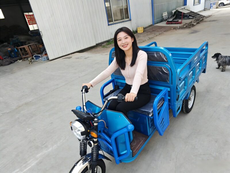 2026 Outstanding Quality Electric Motorcycle 3 Wheel Electric Tricycle Bike for Adults