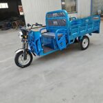 2026 Outstanding Quality Electric Motorcycle 3 Wheel Electric Tricycle Bike for Adults - image 2