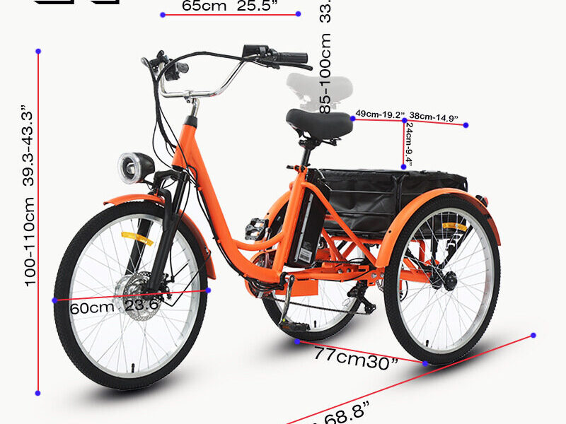 24″ Adult Electric Tricycle, 36V 250W Pedal Assist Leisure Shopping Bike