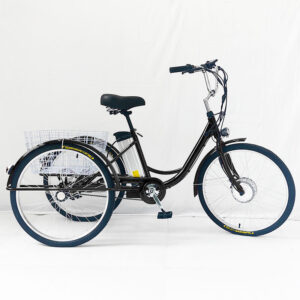 24 Inch 36V 350W Electric Tricycle for Seniors & Adults, Pedal Assist Cargo & Delivery Trike, Manned Stability Comfort Design