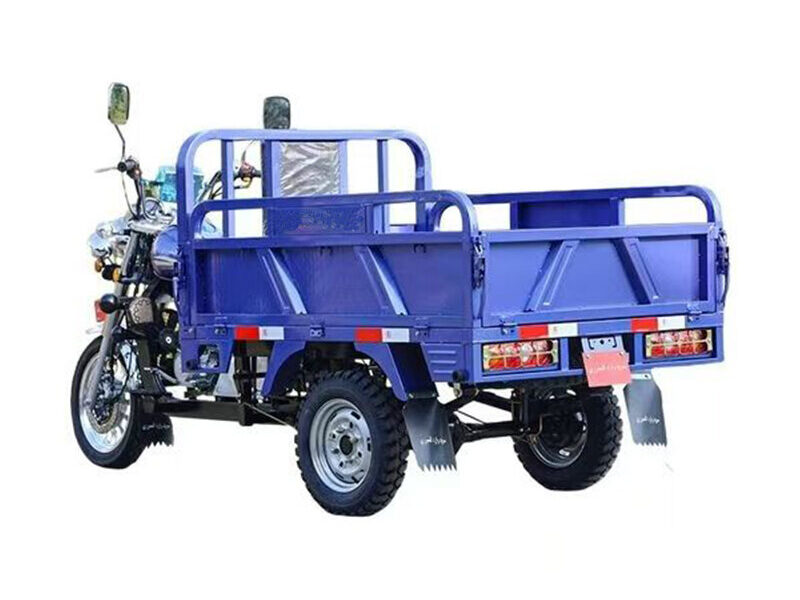 250cc Commercial Cargo Tricycle Motorcycle with Large Loading Box