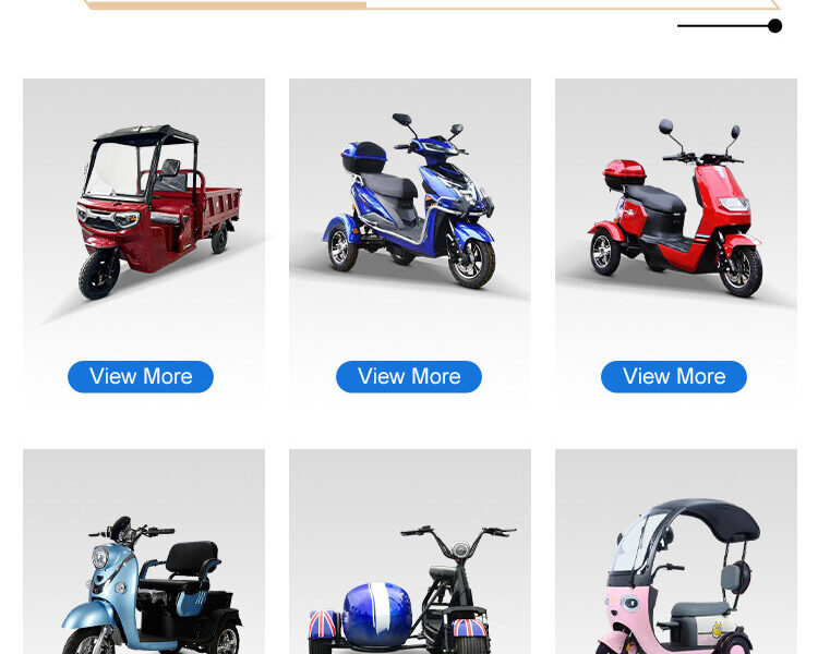 3 Wheel Electric Tricycle 35-40km/h 800W 60v/72v 20ah Battery Bike Electric Tricycle