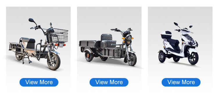 3 Wheel Electric Tricycle 35-40km/h 800W 60v/72v 20ah Battery Bike Electric Tricycle