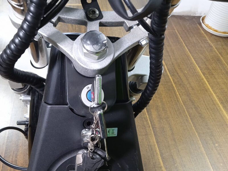 3 Wheel Electric Tricycle Citycoco 2000W GPS Foldable Waterproof Lithium Battery Electric Motorcycle for Adults 60-100km Range