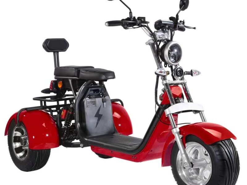 3 Wheel Electric Tricycle Citycoco 2000W GPS Foldable Waterproof Lithium Battery Electric Motorcycle for Adults 60-100km Range