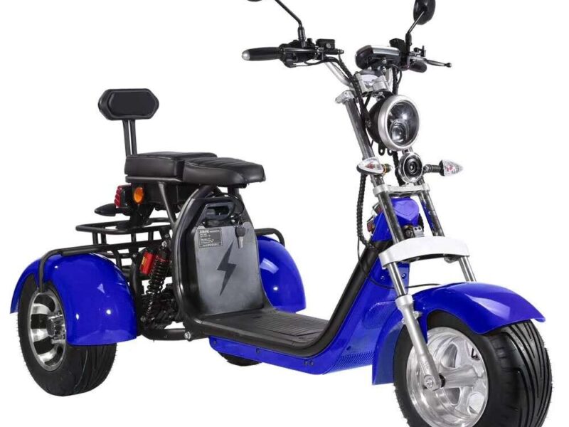 3 Wheel Electric Tricycle Citycoco 2000W GPS Foldable Waterproof Lithium Battery Electric Motorcycle for Adults 60-100km Range