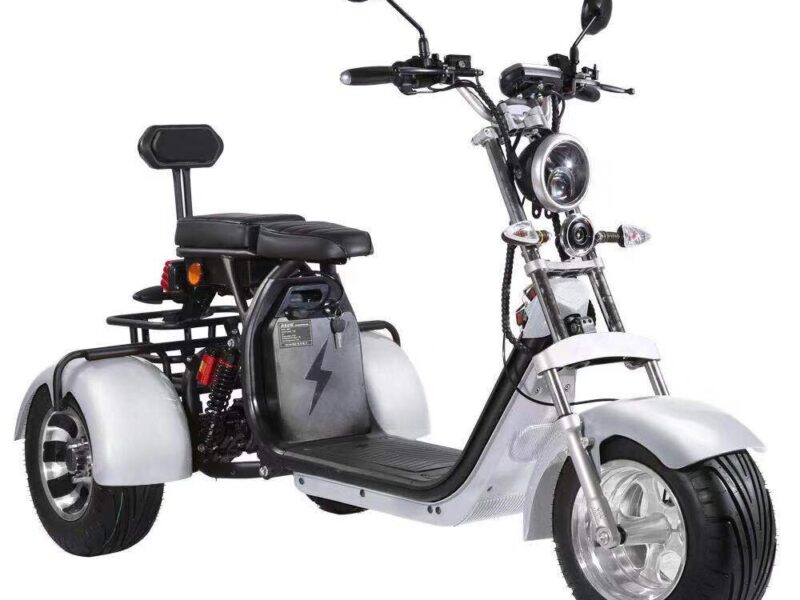 3 Wheel Electric Tricycle Citycoco 2000W GPS Foldable Waterproof Lithium Battery Electric Motorcycle for Adults 60-100km Range