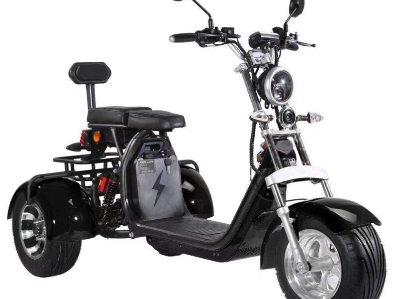 3 Wheel Electric Tricycle Citycoco 2000W GPS Foldable Waterproof Lithium Battery Electric Motorcycle for Adults 60-100km Range
