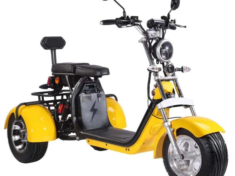 3 Wheel Electric Tricycle Citycoco 2000W GPS Foldable Waterproof Lithium Battery Electric Motorcycle for Adults 60-100km Range