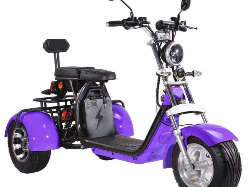 3 Wheel Electric Tricycle Citycoco 2000W GPS Foldable Waterproof Lithium Battery Electric Motorcycle for Adults 60-100km Range