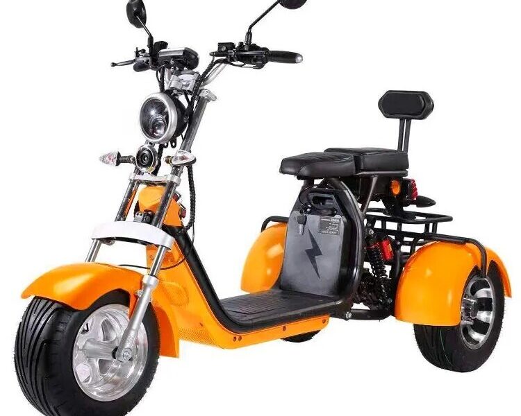 3 Wheel Electric Tricycle Citycoco 2000W GPS Foldable Waterproof Lithium Battery Electric Motorcycle for Adults 60-100km Range