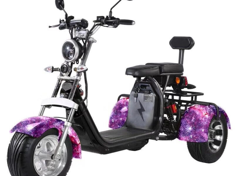 3 Wheel Electric Tricycle Citycoco 2000W GPS Foldable Waterproof Lithium Battery Electric Motorcycle for Adults 60-100km Range