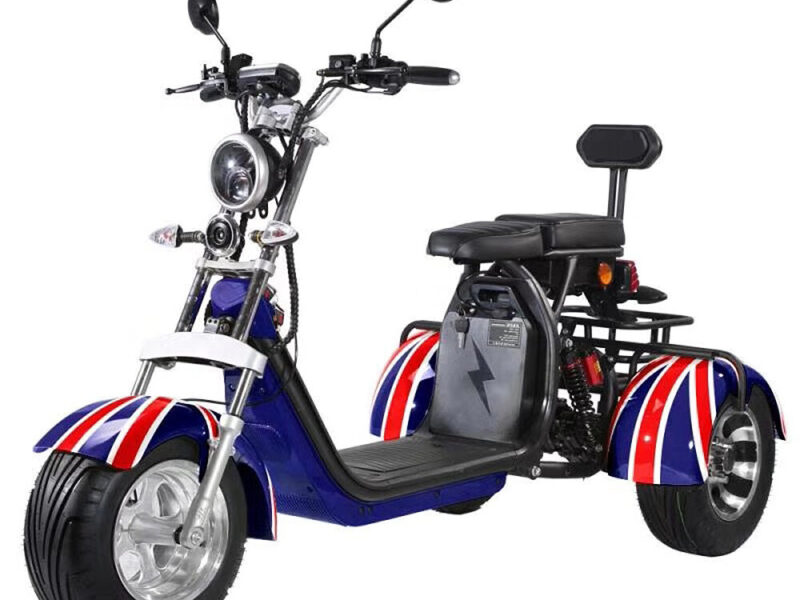 3 Wheel Electric Tricycle Citycoco 2000W GPS Foldable Waterproof Lithium Battery Electric Motorcycle for Adults 60-100km Range