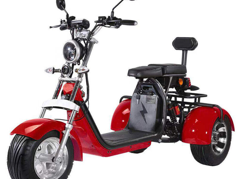 3 Wheel Electric Tricycle Citycoco 2000W GPS Foldable Waterproof Lithium Battery Electric Motorcycle for Adults 60-100km Range