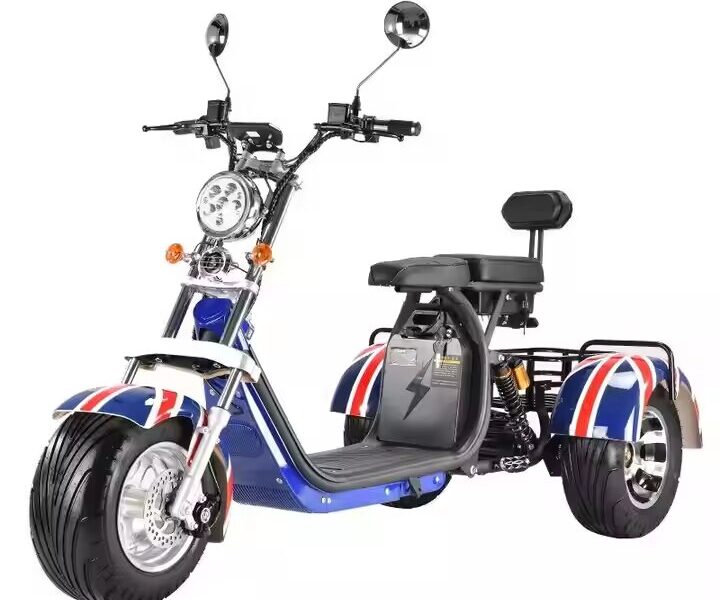 3 Wheel Electric Tricycle Citycoco 2000W GPS Foldable Waterproof Lithium Battery Electric Motorcycle for Adults 60-100km Range