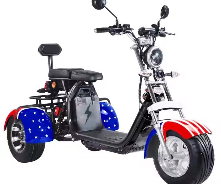 3 Wheel Electric Tricycle Citycoco 2000W GPS Foldable Waterproof Lithium Battery Electric Motorcycle for Adults 60-100km Range