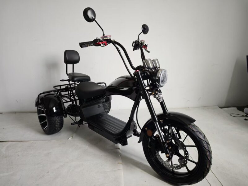3 Wheel Electric Tricycle Citycoco 2000W GPS Foldable Waterproof Lithium Battery Electric Motorcycle for Adults 60-100km Range
