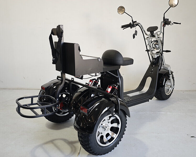 3 Wheel Electric Tricycle Citycoco 2000W GPS Foldable Waterproof Lithium Battery Electric Motorcycle for Adults 60-100km Range