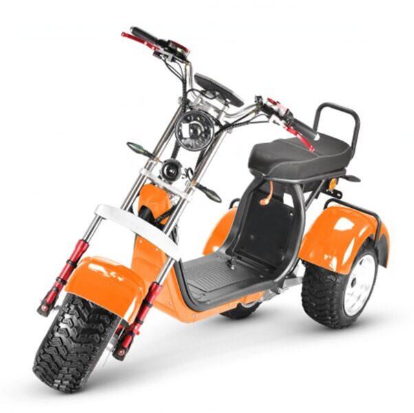 3 Wheel Electric Tricycle Citycoco 2000W GPS Foldable Waterproof Lithium Battery Electric Motorcycle for Adults 60-100km Range