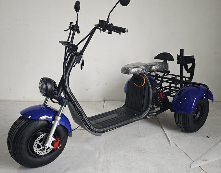 3 Wheel Electric Tricycle Citycoco 2000W GPS Foldable Waterproof Lithium Battery Electric Motorcycle for Adults 60-100km Range