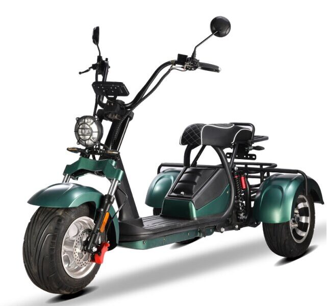 3 Wheel Electric Tricycle Citycoco 2000W GPS Foldable Waterproof Lithium Battery Electric Motorcycle for Adults 60-100km Range