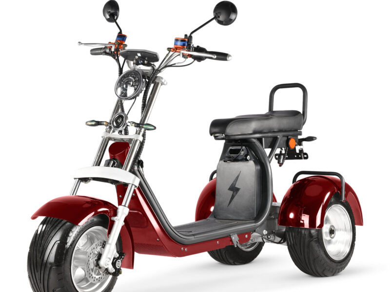 3 Wheel Electric Tricycle Citycoco 2000W GPS Foldable Waterproof Lithium Battery Electric Motorcycle for Adults 60-100km Range