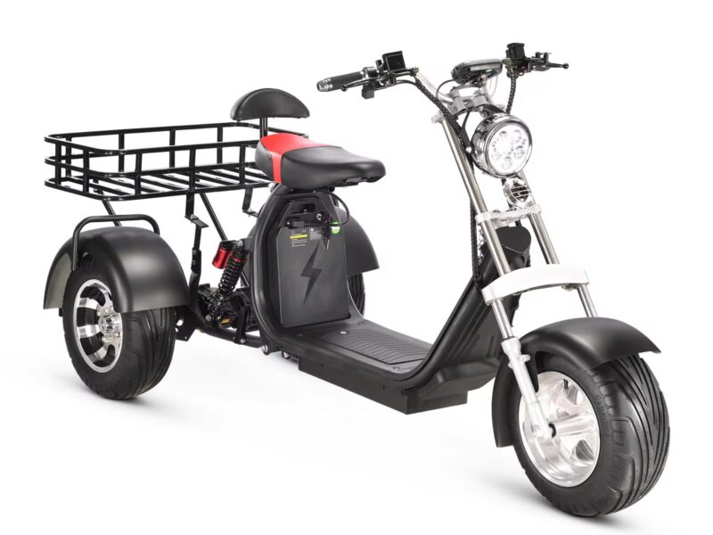 3 Wheel Electric Tricycle Citycoco 2000W GPS Foldable Waterproof Lithium Battery Electric Motorcycle for Adults 60-100km Range