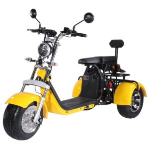 3 Wheel Electric Tricycle Citycoco 2000W GPS Foldable Waterproof Lithium Battery Electric Motorcycle for Adults 60-100km Range