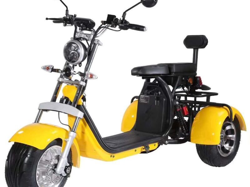 3 Wheel Electric Tricycle Citycoco 2000W GPS Foldable Waterproof Lithium Battery Electric Motorcycle for Adults 60-100km Range