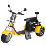 3 Wheel Electric Tricycle Citycoco 2000W GPS Foldable Waterproof Lithium Battery Electric Motorcycle for Adults 60-100km Range - image 2