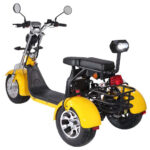 3 Wheel Electric Tricycle Citycoco 2000W GPS Foldable Waterproof Lithium Battery Electric Motorcycle for Adults 60-100km Range - image 4