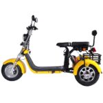 3 Wheel Electric Tricycle Citycoco 2000W GPS Foldable Waterproof Lithium Battery Electric Motorcycle for Adults 60-100km Range - image 6