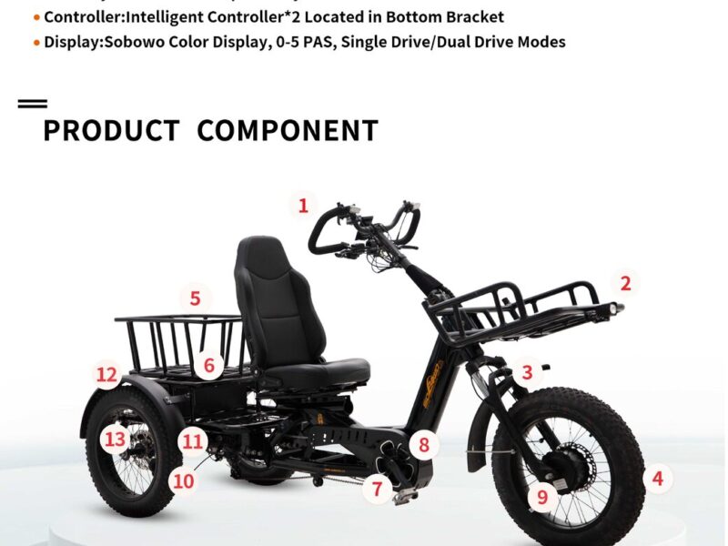3-Wheel Electric Tricycle with Open Body Design High-Power 1750W Dual Motor 200kg Payload Capacity Long-range Driving Tricycle