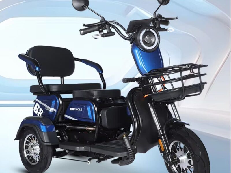 3 Wheeler Electric Bike Motor Electr Adult Tricycle 50km/H Adult Electric Tricycle Mobility Scooter Elderly